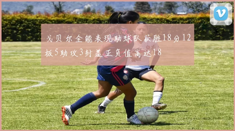 戈贝尔全能表现助球队获胜18分12板5助攻3封盖正负值高达18