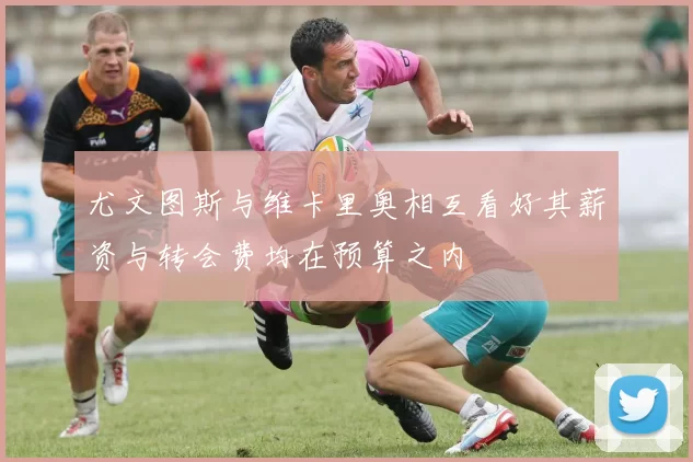 尤文图斯与维卡里奥相互看好其薪资与转会费均在预算之内
