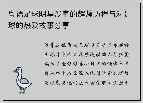 粤语足球明星沙拿的辉煌历程与对足球的热爱故事分享